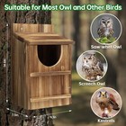 Cedar Owl Nesting Box Outdoor Bird House Ventilated Shelter With Shavings