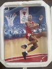 Michael Jordan Bulls Soaring Above The Rest 5 Bradford Plate Set W  Coas   Pkgs