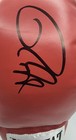 Roy Jones Jr Signed Auto Lh Everlast Boxing Glove Red Coa