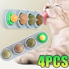 Catnip Silvervine Balls Natural Teeth Cleaning Dental Wall Treats Extra Cat Ball