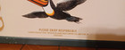 Guinness Beer 3 Flying Toucans St Patrick s Day Metal Tin Sign Man Cave New