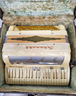 Vintage Stanelli Minuet Accordion-gold Glitter   Ivory-1960s-model 216p W case