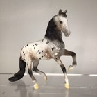Breyer Cm Sm Alborozo