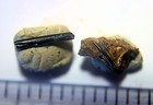 Two Wealden Ornithocheirus Pterosaur Needle Teeth