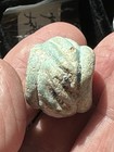 Ancient Egypt - Giant Early  Bead  22nd-25th Dynasty Blue Faience 