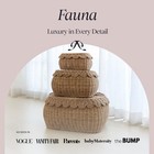 Wicker Basket Set 3 Large Scalloped 22x16x10 Inches Mocca Bb-fau Bebe Hand-woven