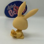 Rabbit  1441 - Authentic Littlest Pet Shop - Hasbro Lps