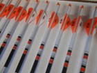 12 Easton 6 5 Hunter Classic 300 Carbon Arrows Custom Dip crest   Blazer Vanes