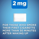 Nicotine Polacrilex Gum 2 Mg Ice Mint Flavor Smoking Cessation 160 Count