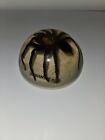 Vintage Mcm Tarantula Lucite 4  Dome Paperweight Acrylic Taxidermy Spider 
