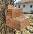 Xxl Squirrel House Nesting Box W Preditor Guard Solid Cedar Handmade Durable Big