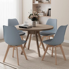 Mid Century Modern Dining Chairs Set Of 2 Plastic Shell Lounge Side Chair With