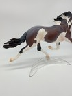 Breyer Traditional Model Horse 2022 Premier Club Constantia Standardbred