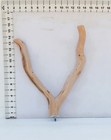 Large Manzanita Parrot Perch 15 x 12    Diameter  1 50 -1 75    0525-bp7