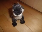 Hansa Otter No 5679 Plush Stuffed Doll Animal New Free Shipping