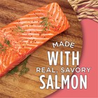 Purina Cat Chow Complete High Protein Dry Cat Food Salmon 3 15 Lb