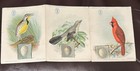 1898 Singer Mfg Advertising Pamphlet American Singer Series Pan American Expo