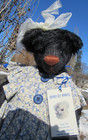 Vintage Mohair Black Teddy Bear Artist Bears By Raglets Angie Tait Ooak 20  Nice