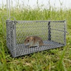 New Cage Trap Live Humane For Squirrel Chipmunk Rat Mice Rodent Animal Catcher