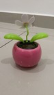 Solar-powered Dancing Flower Eco-friendly Bobble Head Solar Dancing Toys