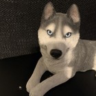 Vintage Sandicast Husky Dog Blue Eyes Sculpture 1987 Sandra Brue  147