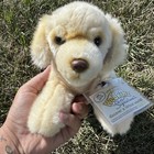 Nwt Webkinz Small Signature Lying Down Golden Retriever Plush   Unused Code