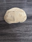 Coors Beer Breweriana Tan Corduroy Baseball Cap Hat