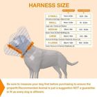 Focuspet Dog Cone Collar  Recovery Soft Cone Collar For After Surgery Xtra Large