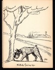 Antique Schnauzer Print 1930s Humorous Schnauzer Illustration Art By Zito 7119p