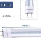 25-pack Led Tube Lights 4ft Double-ended 5000k Milky Clear Lens T8  Replacement