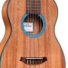 Cordoba Mini Ii Santa Fe Travel Nylon Guitar Web Shop Only