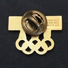 Olympics Usa  Budweiser Lapel Pin Olympic Rings Collectible Souvenir