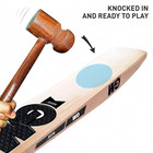 Gm Size 6 English Willow Cricket Bat Sh Junior Professional Big Edge With Cover