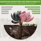 6 Lbs Pebbles For Indoor Plants  3 8 Inch Pea Gravel For Fish Tank  Polished    