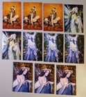 Brian Froud Faery 12 Greeting Cards  1 In Lid    Envelopes W tin Vintage   Rare 
