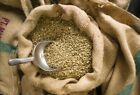 5 Pounds Green Coffee Beans     Your Choice Of Beans     Many To Choose From