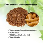 Dried Mealworms 22 Lbs 100  Natural For Chicken Feed Bird Turtle Fish Duck Food