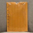Day-timer Receipt Envelopes Organizer Monthly Expense Set Of 12 5 5 X 8 5  92148