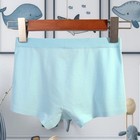 150g Boys  Boxer Briefs-