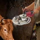 Portable Cow Horn Remover Electric Cattle Dehorner Electric Horn Cutting Machine
