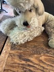 Steiff Snobby Grey Gray Poodle Dog Jointed Mohair Reclining Curled 1950s-60s Vtg