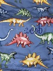 See Photos Monogrammed Pottery Barn Kids Pbk Dinosaur Printed Nap Mat Prek