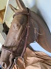 Exselle Raised Used English Bridle Soft Leather Free Shipping