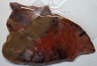Wrg- Montana Agate Slab 48 Grams  Lapidary Old Stock