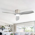 Sofucor 52  Indoor outdoor Modern Nickel Smart Ceiling Fan Integrated Led Remote
