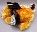 Dan Dee Collectors Choice 1st Class Graduate Dog Plush Stuffed Animal Talks