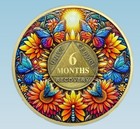 6 Month Sobriety Chip Limited Edition Aa Medallion For Men   Women In Recovery