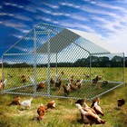 20ft   13ft  10ft Large Metal Walk-in Chicken Coop Run Cage Hen House