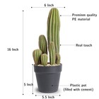 Artificial Cactus Fake Cactus 16 Inch Faux Cacti Plants For Home Garden Offic   