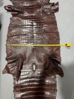 Genuine Alligator Hide Leather Skin Brown